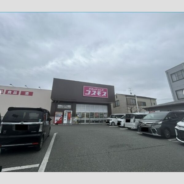 現地周辺 (ディスカウントドラッグコスモス下南部店まで350m)
