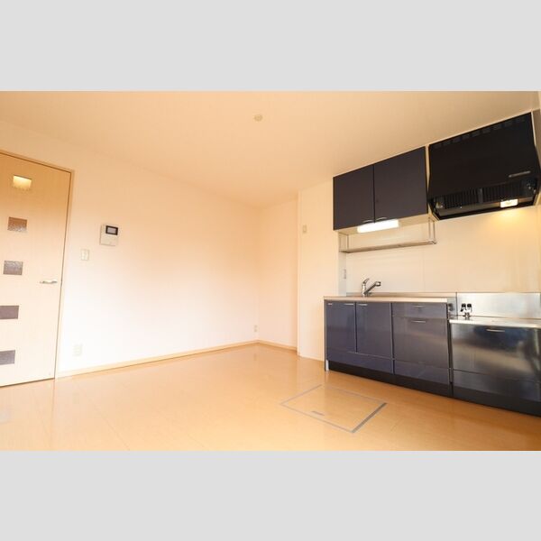 居室・リビング (105ダイニングキッチン)