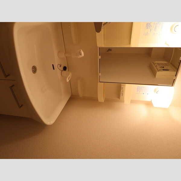 洗面所 (303 洗髪洗面化粧台)