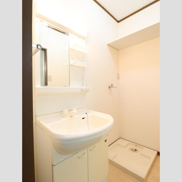 洗面所 (グリーンヒル201洗面所)