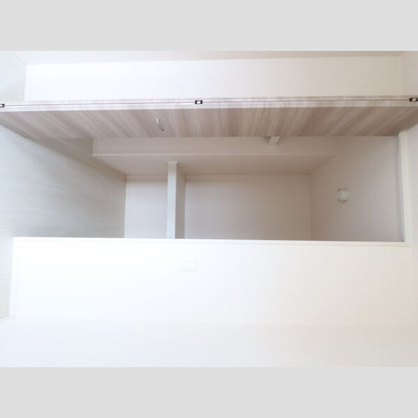 収納 (101　ウォークインクローゼット)