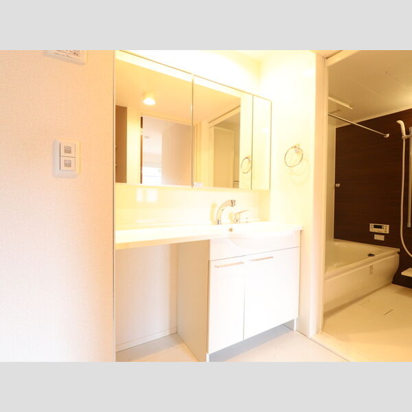 洗面所 (森テラス202　洗面所)