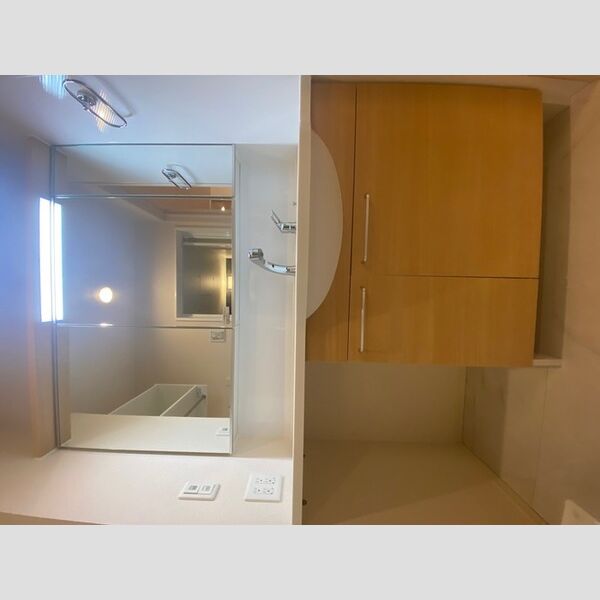 洗面所 (202　洗髪洗面化粧台)