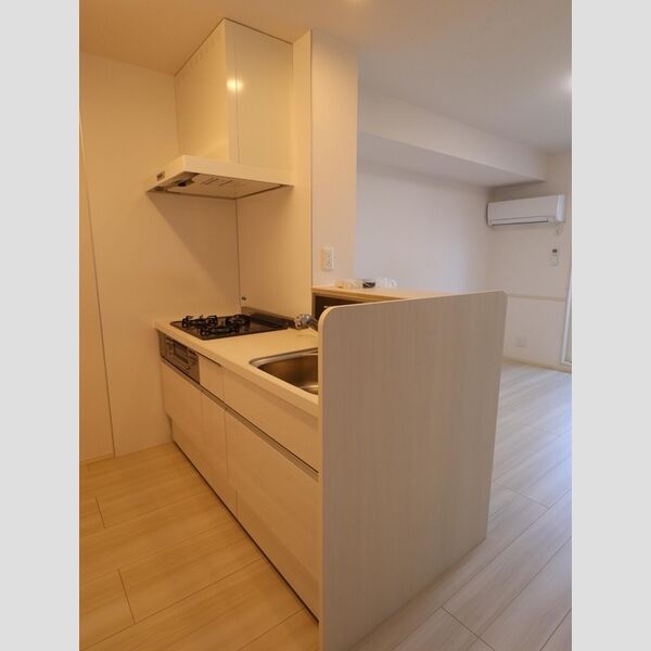 キッチン (201　対面キッチン)