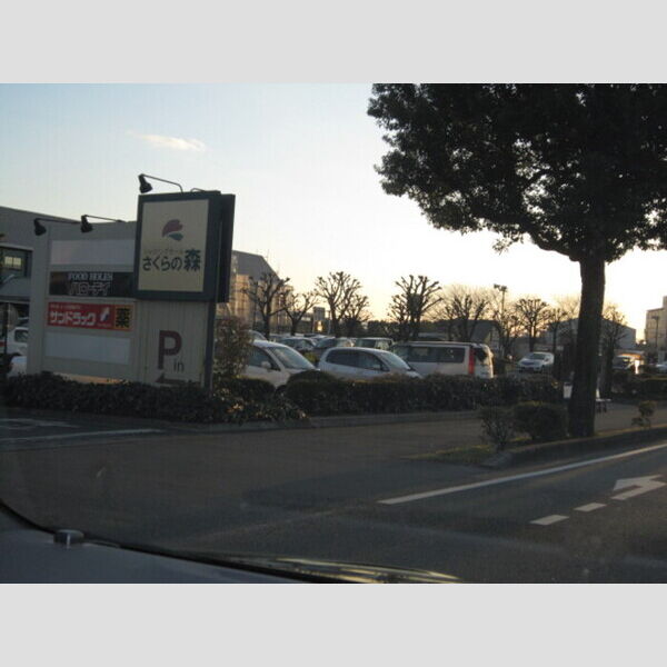 その他 (ショッピングセンターさくらの森1006m)