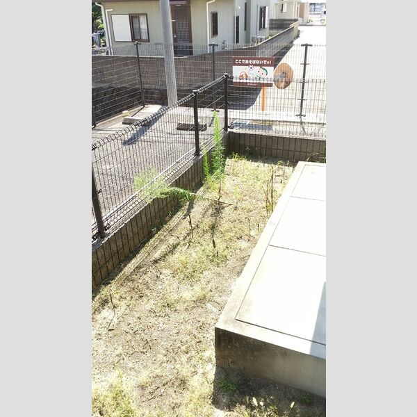 その他 (C107　専用庭)