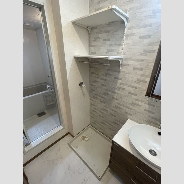 その他 (室内洗濯機置場)