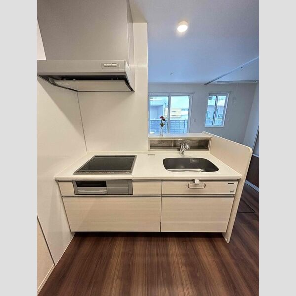 キッチン (102　システムキッチン)