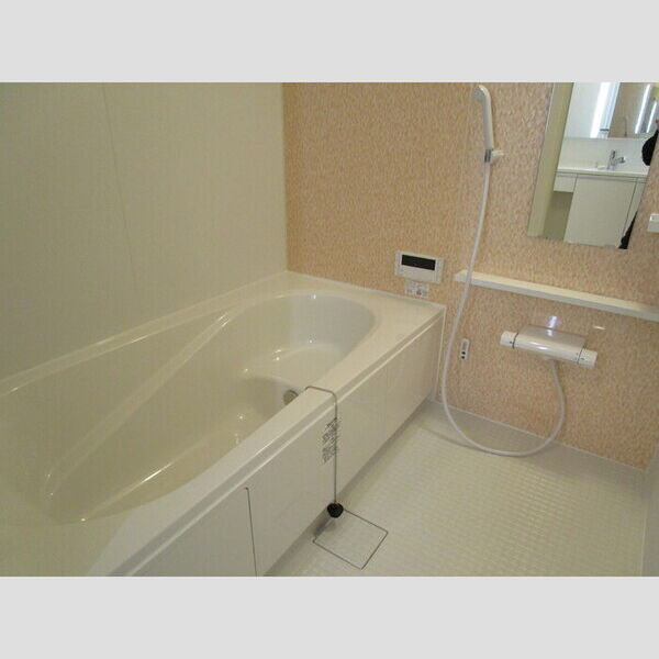 バス (一坪風呂)