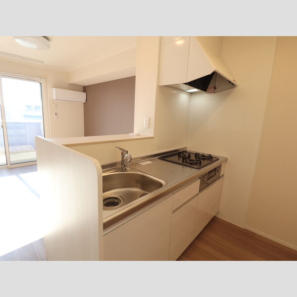 キッチン (203　対面キッチン)