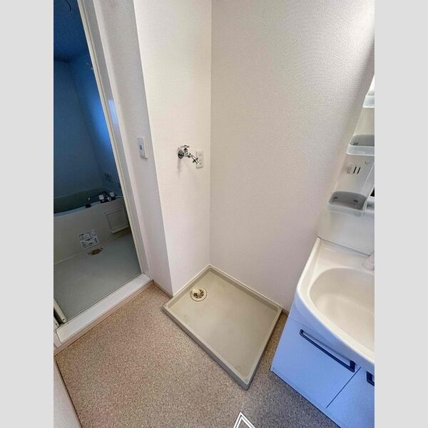 その他 (室内洗濯機置場)