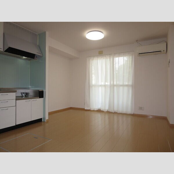 居室・リビング (レースカーテン、LDK照明付き)