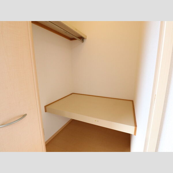 収納 (203号　ウォークインクローゼット)