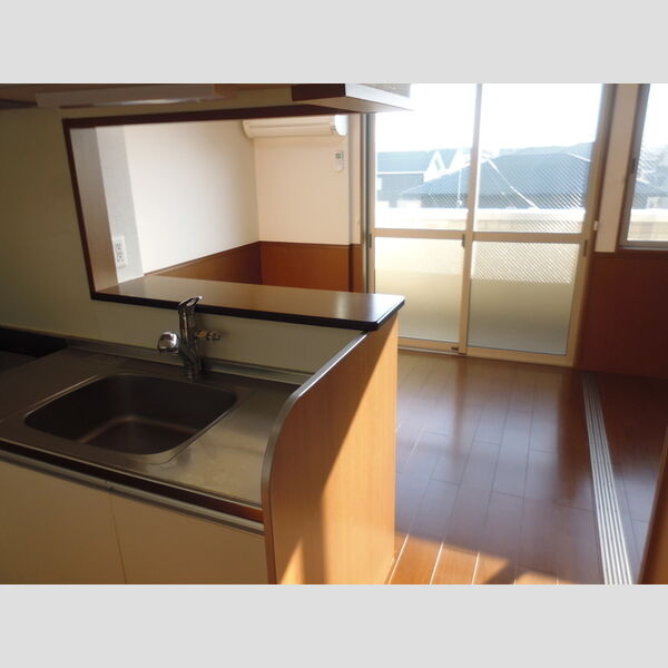 その他 (302　DK)