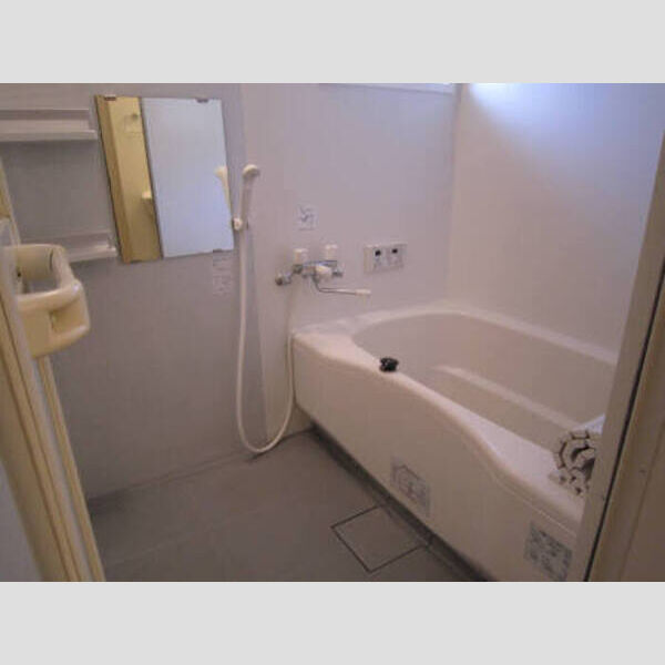 バス (マウンテンクレスト秋津101 浴室)