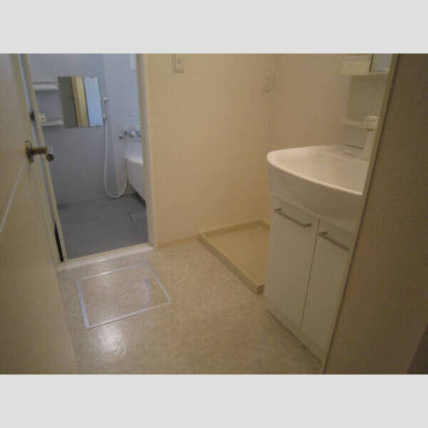 洗面所 (マウンテンクレスト秋津101 洗面所)