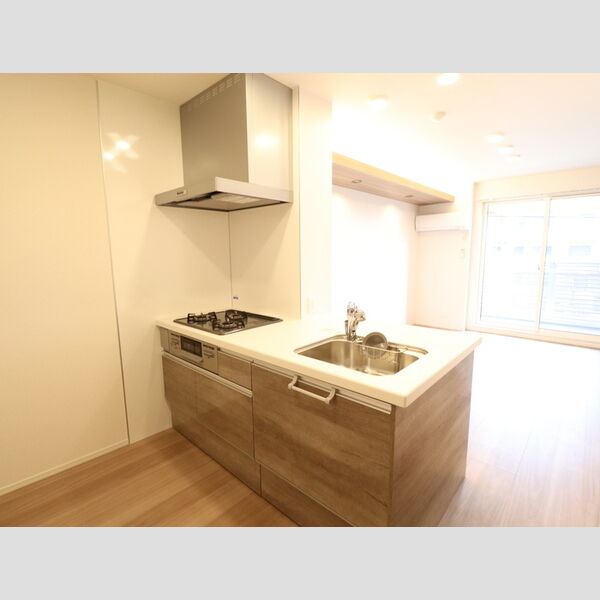 キッチン (203　対面キッチン)