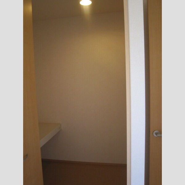 収納 (102　ウォークインクローゼット)