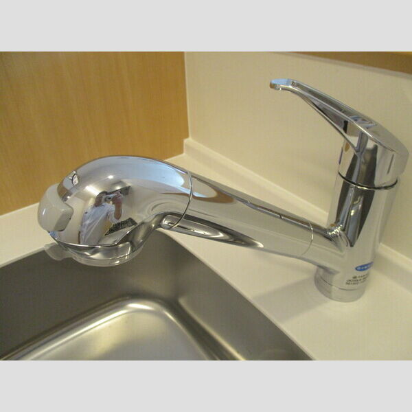 その他 (キッチン水栓)