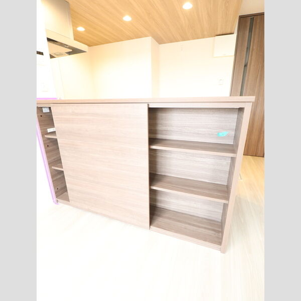 その他 (キッチン裏収納)