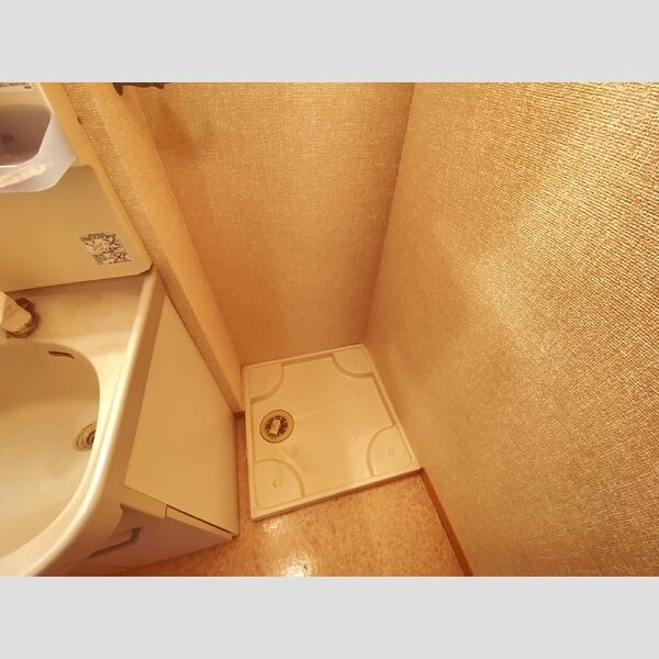 その他 (203室内洗濯機置き場)