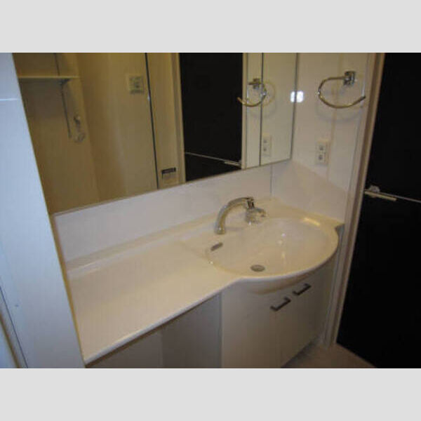 洗面所 (カウンター洗面台)