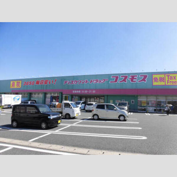 現地周辺 (コスモス菊南店(約1360m))