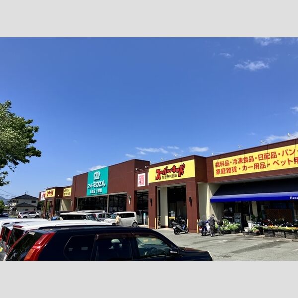 現地周辺 (スーパーミカエル新地店まで585m)