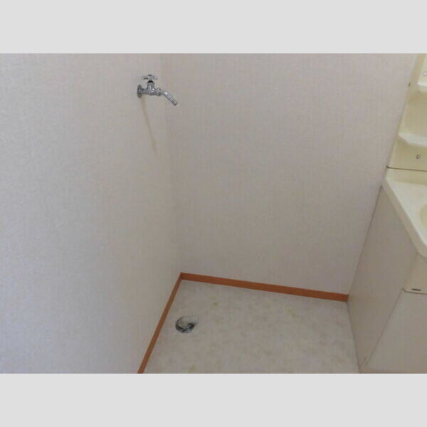 洗面所 (室内洗濯機置場)