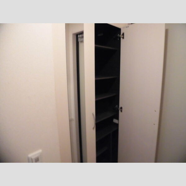 その他 (シューズボックス)