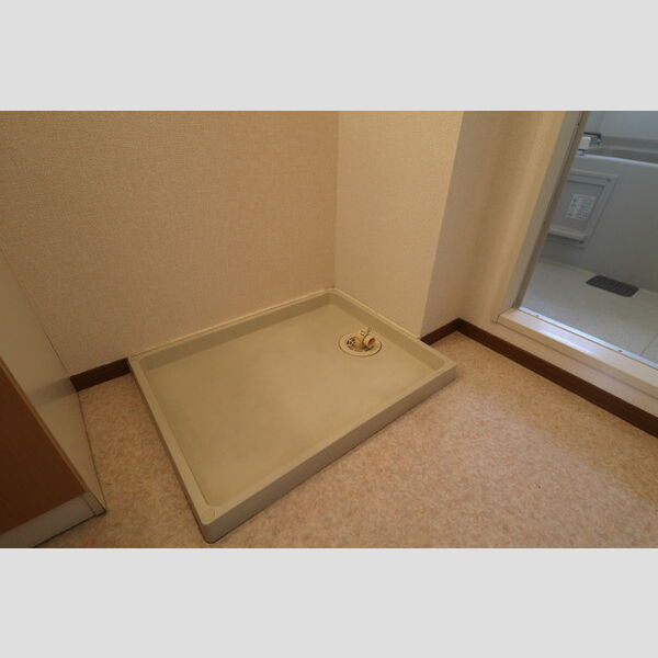 その他 (A202　室内洗濯機置場)