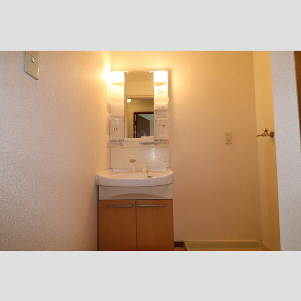 洗面所 (A202　洗髪洗面化粧台)