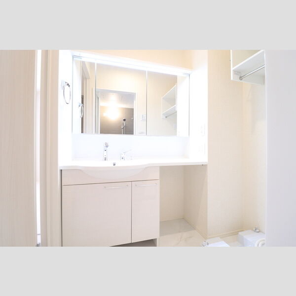 洗面所 (101　洗髪洗面化粧台)