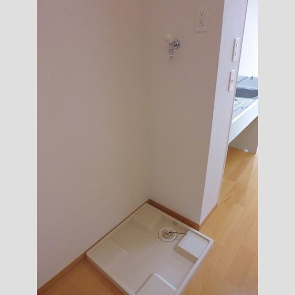 その他 (室内洗濯機置場)