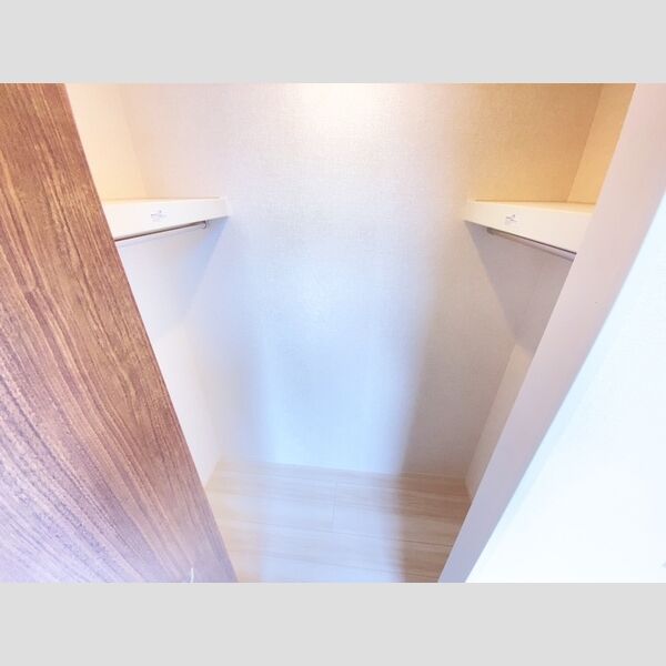 収納 (302ウォークインクローゼット)