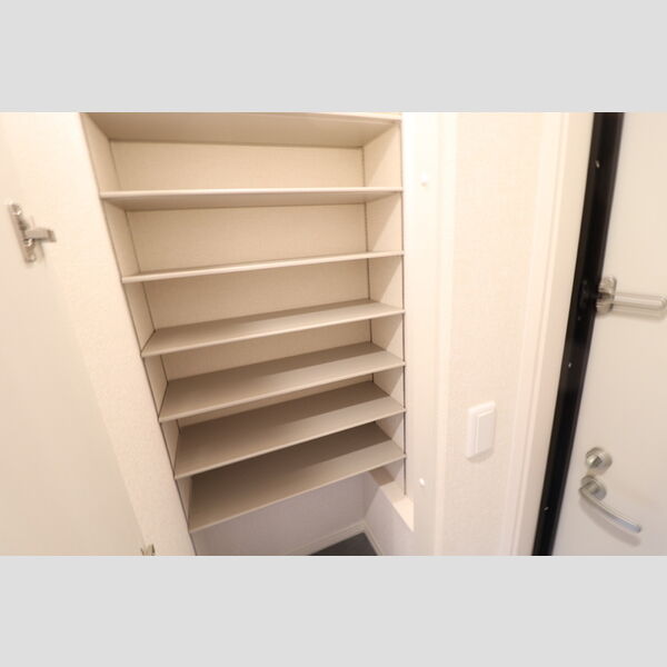 その他 (305シューズボックス)