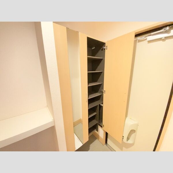 その他 (101玄関収納)