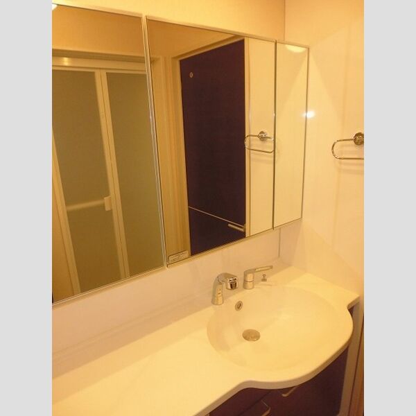 洗面所 (201洗髪洗面化粧台)