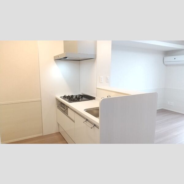 キッチン (201キッチン)