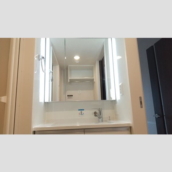 洗面所 (201洗面化粧台)