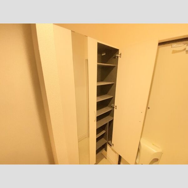 その他 (201玄関収納)