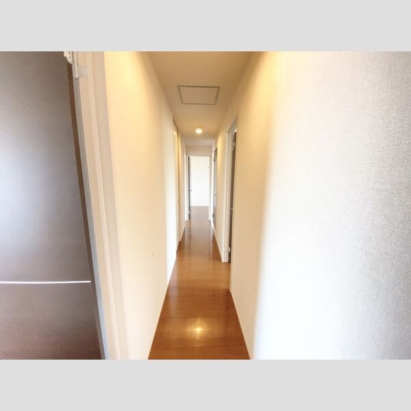 その他 (201廊下)