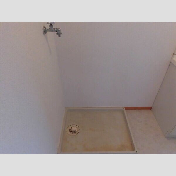 洗面所 (室内洗濯機置場)