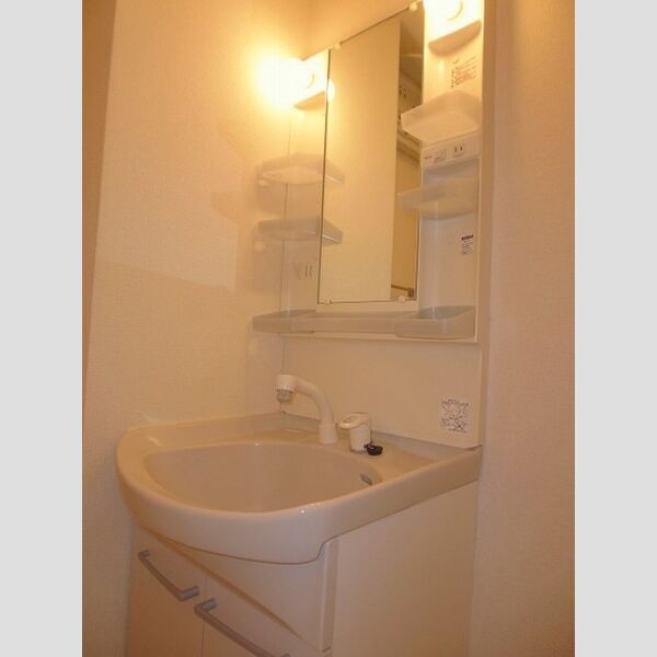 洗面所 (洗髪洗面化粧台)