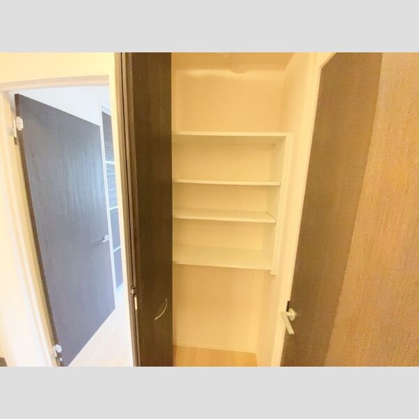 その他 (103廊下収納)