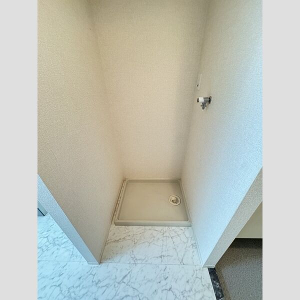 その他 (室内洗濯機置場)