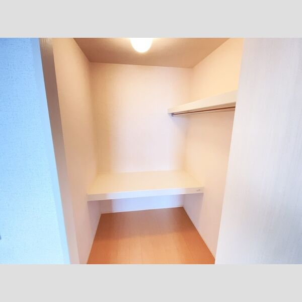 収納 (305ウォークインクローゼット)