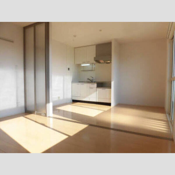 居室・リビング (201 DK)