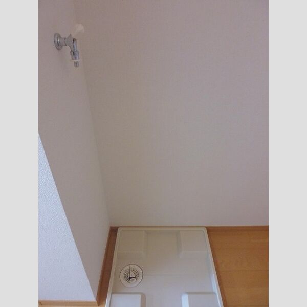 その他 (室内洗濯機置場)