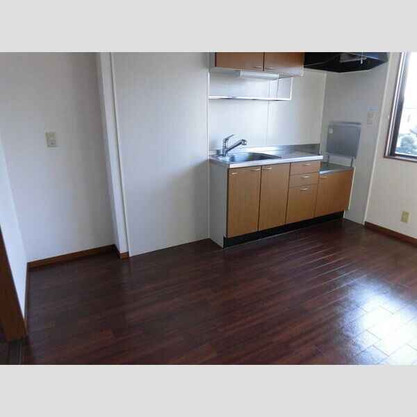 居室・リビング (203　DK)